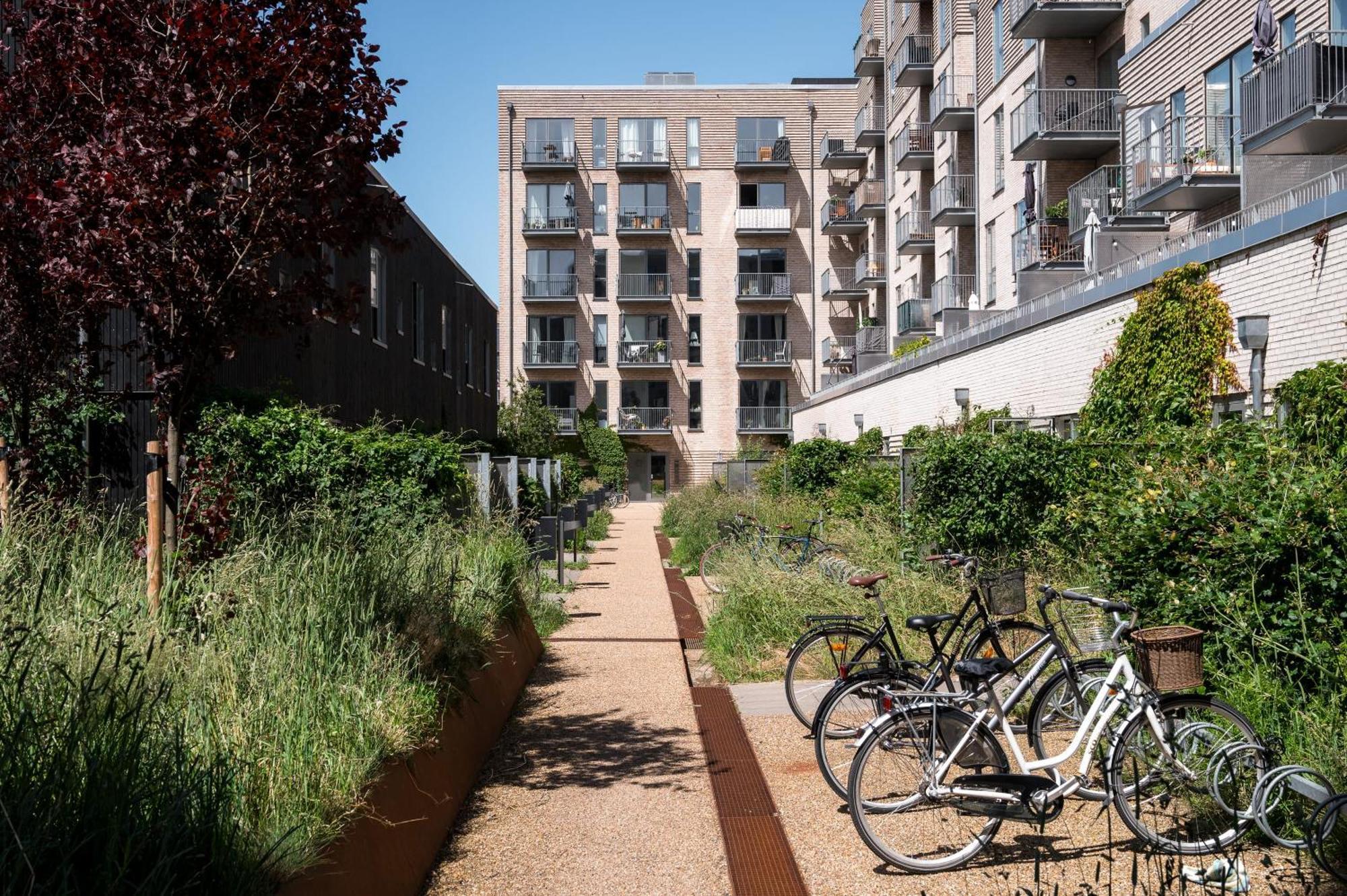Beach Gardens 46 By Daniel&Jacob'S København Ngoại thất bức ảnh